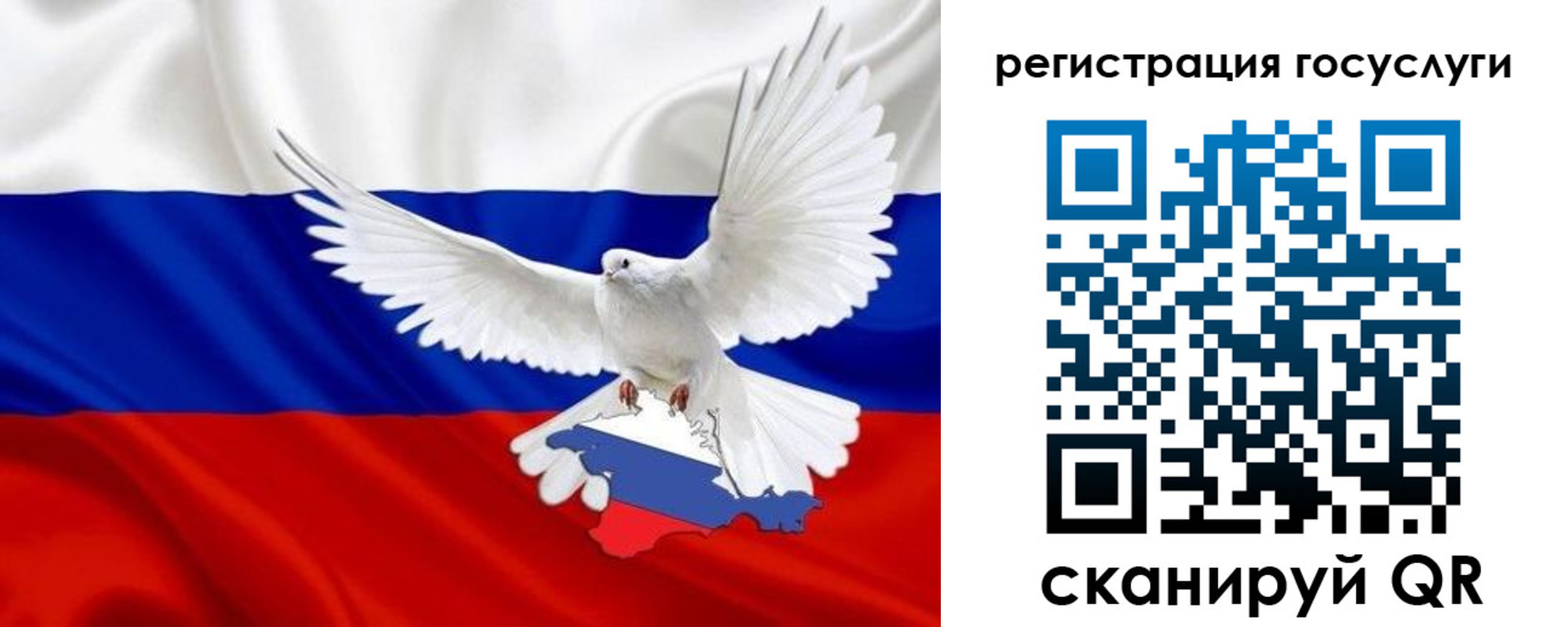 прописка законно в Бологом